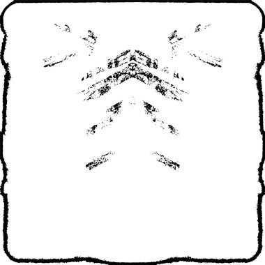 Sert, çizik, sıçramış grunge desenli fırça darbeleri. Dokuları üst üste koy. Siyah-beyaz boyanmış kağıt dokusu. Skeç grunge tasarımı. Poster, kapak, afiş, taklit, çıkartma düzeni için kullan.