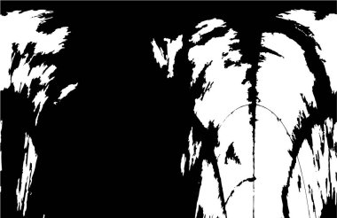 Soyut arkaplan. Monokrom dokusu. Resim siyah ve beyaz tonları içerir.