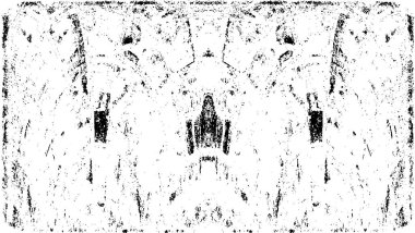 Soyut arkaplan. Monokrom dokusu. Resim siyah ve beyaz tonları içerir.