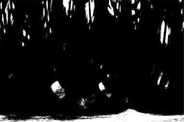 Sert, çizik, sıçramış grunge desenli fırça darbeleri. Dokuları üst üste koy. Siyah-beyaz boyanmış kağıt dokusu. Skeç grunge tasarımı. Poster, kapak, afiş, taklit, çıkartma düzeni için kullan.