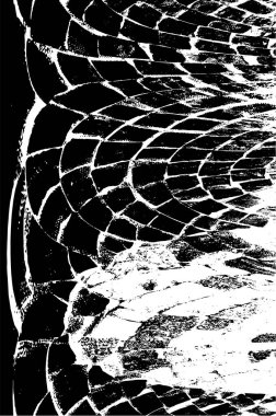 Eski grunge arkaplan vektör çizimi