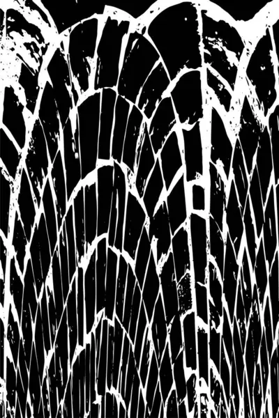 Sert, çizik, sıçramış grunge desenli fırça darbeleri. Dokuları üst üste koy. Siyah-beyaz boyanmış kağıt dokusu. Skeç grunge tasarımı. Poster, kapak, afiş, taklit, çıkartma düzeni için kullan.