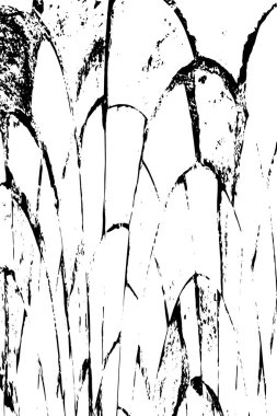 siyah ve beyaz soyut grunge arkaplan monokrom çizimi