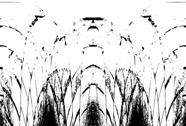 Grunge dikey olarak simetrik siyah beyaz doku. Tek renkli yıpranmış kaplama deseni. 