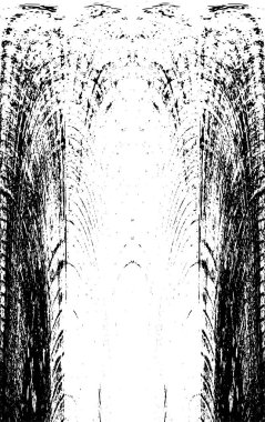 Bir duvarın siyah beyaz grunge dokusu 