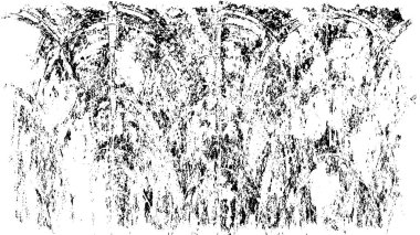 Bir duvarın siyah beyaz grunge dokusu 