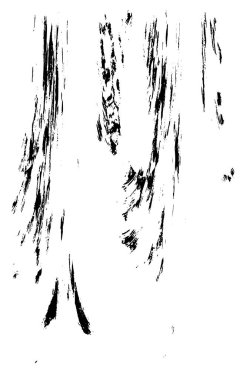 Bir duvarın siyah beyaz grunge dokusu 