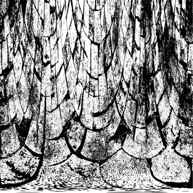 yıpranmış siyah-beyaz soyut arkaplan 