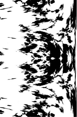 Kusursuz soyut siyah beyaz desen