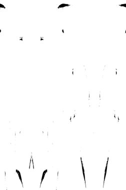 Eski rustik grunge arkaplan, soyut siyah ve beyaz doku