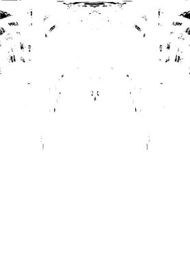 Grunge dikey olarak simetrik siyah beyaz doku. Tek renkli yıpranmış kaplama deseni. 