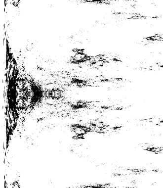 Soyut siyah-beyaz vektör arkaplanı. Tek renkli vintage yüzey           