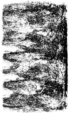 Soyut grunge arkaplanı. yaratıcı monokrom fon. vektör illüstrasyonu