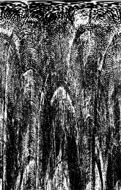 Metal yıpranmış siyah beyaz arkaplan