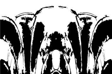 soyut siyah beyaz grunge desenli desen