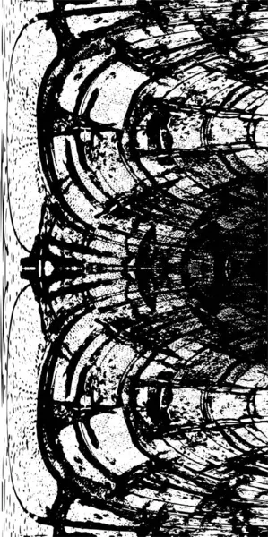 Bir duvarın siyah beyaz grunge dokusu 