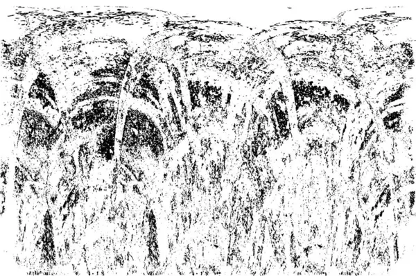 Eski grunge siyah ve beyaz eskimiş doku arka planı        