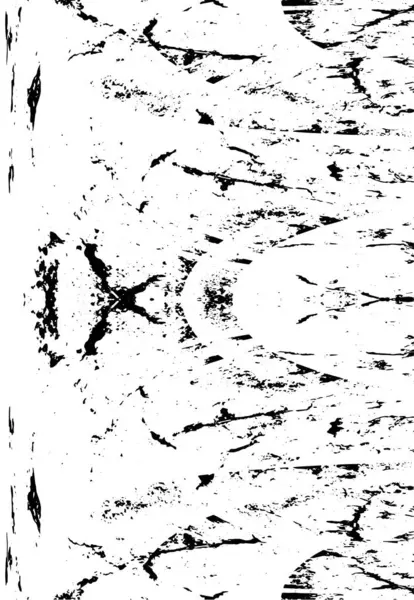 Soyut siyah-beyaz vektör arkaplanı. Tek renkli vintage yüzey           