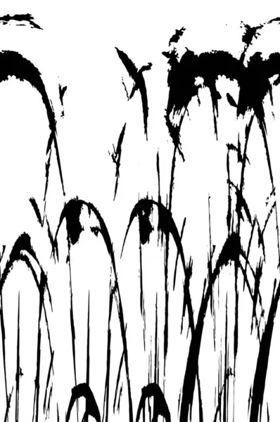 Kusursuz soyut siyah beyaz desen