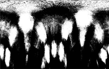 siyah beyaz soyut dokulu arka plan