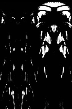 Soyut grunge dokusu. Siyah ve beyaz kabataslak doku. imdat tasarımı