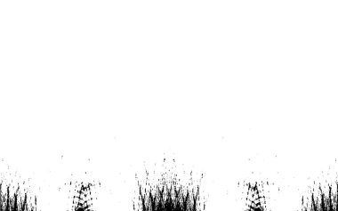 Grunge dikey olarak simetrik siyah beyaz doku. Tek renkli yıpranmış kaplama deseni. 