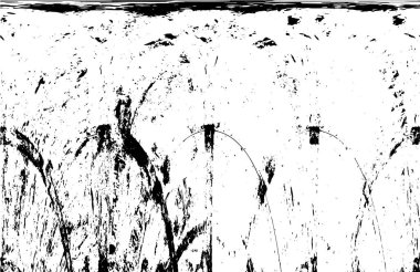 Kusursuz soyut siyah beyaz desen