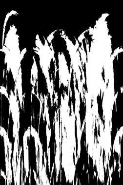 eski püskü siyah ve beyaz arka plan