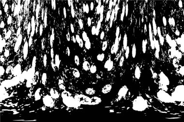 Eski grunge arkaplan vektör çizimi