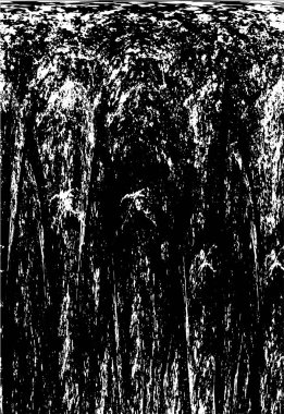 eski püskü siyah ve beyaz arka plan