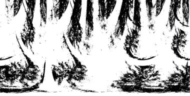 Kusursuz soyut siyah beyaz desen