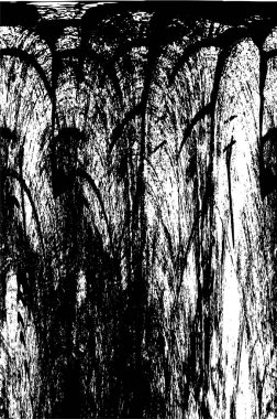 eski püskü siyah ve beyaz arka plan