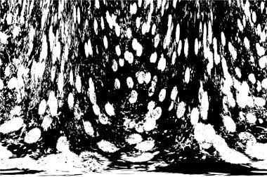 eski püskü siyah ve beyaz arka plan