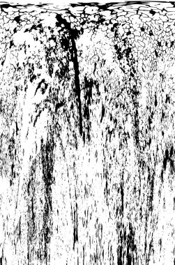 Kusursuz soyut siyah beyaz desen