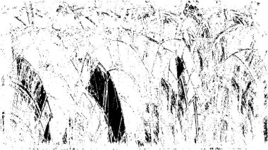 eski püskü siyah ve beyaz arka plan