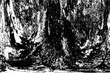 siyah beyaz monokrom eski grunge vintage yıpranmış arka plan 