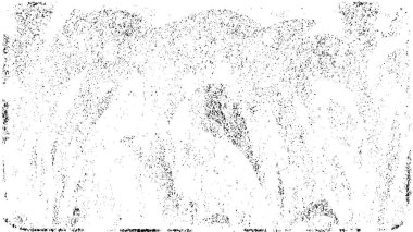 eski püskü siyah ve beyaz arka plan