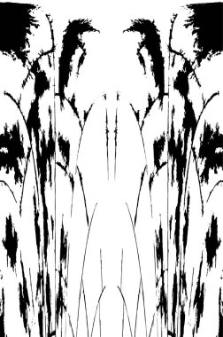 siyah beyaz monokrom eski grunge vintage yıpranmış arka plan 