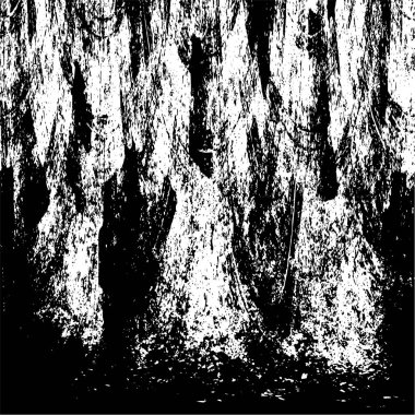 eski püskü siyah ve beyaz arka plan