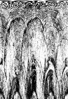 Soyut arkaplan. monokrom dokusu. resim siyah ve beyaz tonları içerir.  