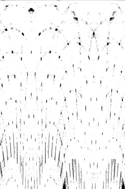 eski püskü siyah ve beyaz arka plan