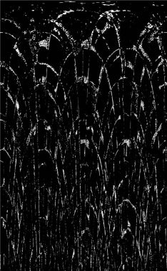 Kusursuz soyut siyah beyaz desen