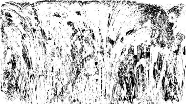 Soyut arkaplan. monokrom dokusu. resim siyah ve beyaz tonları içerir.  