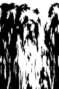 eski püskü siyah ve beyaz arka plan