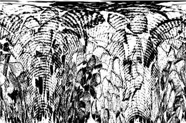 Çizik ve çiziklerle dolu siyah beyaz bir arka plan. Soyut vektör illüstrasyonu.