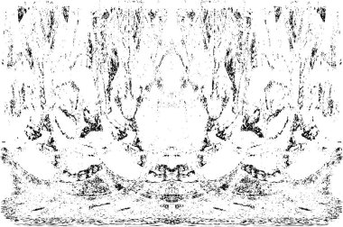 Grunge dikey olarak simetrik siyah beyaz doku. Tek renkli yıpranmış kaplama deseni. 