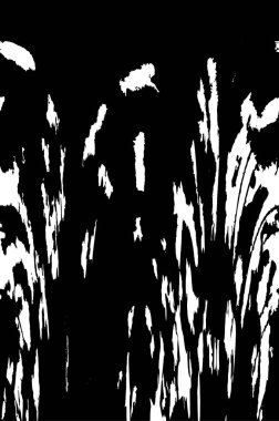 siyah ve beyaz tek renkli soyut yıpranmış arka plan