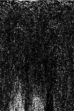 Kusursuz soyut siyah beyaz desen