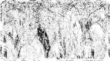 siyah ve beyaz eski püskü boya yüzeyi