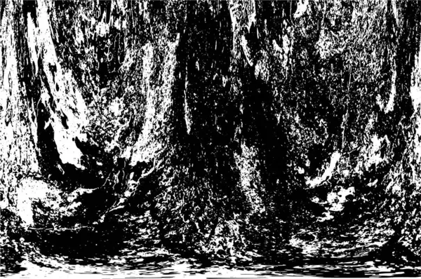 siyah beyaz monokrom eski grunge vintage yıpranmış arka plan 